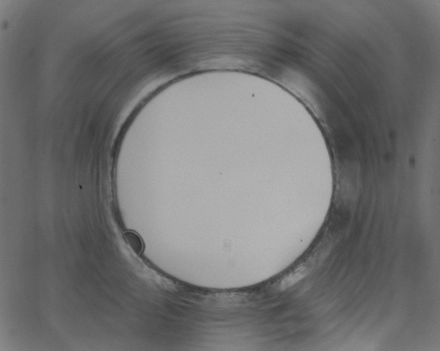 X0000067901000200604271848