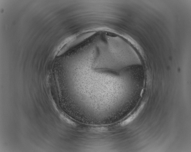 X0000067901001200604271848