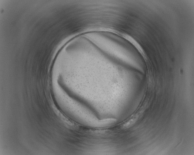 X0000067901004200604271848