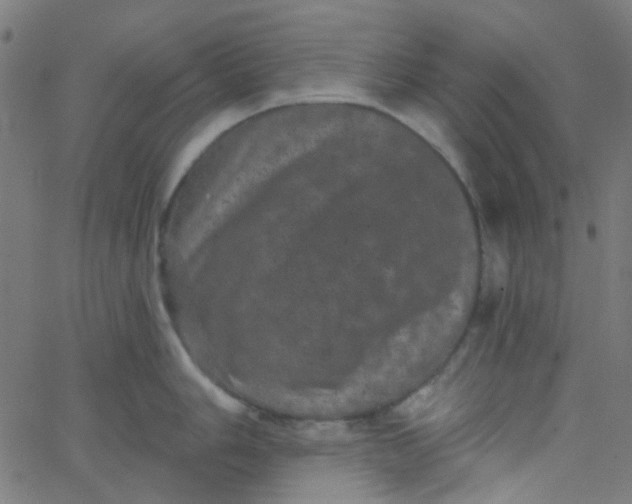 X0000067901006200604271848