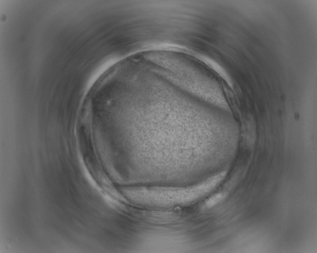 X0000067901007200604271848