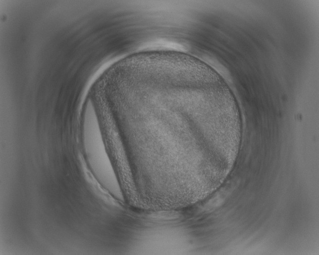 X0000067901008200604271848