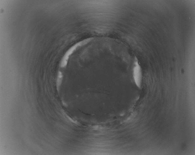 X0000067901009200604271847