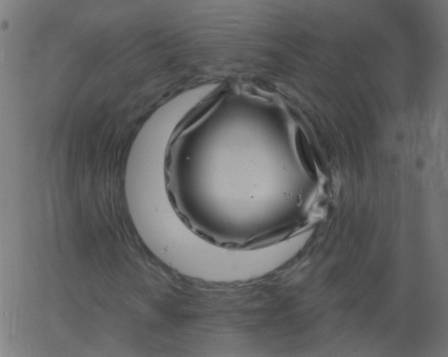 X0000067901010200604271847