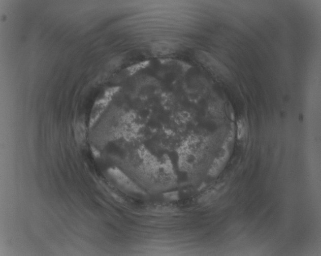 X0000067901011200604271847