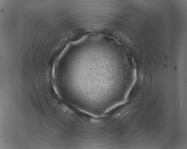 X0000067901012200604271847