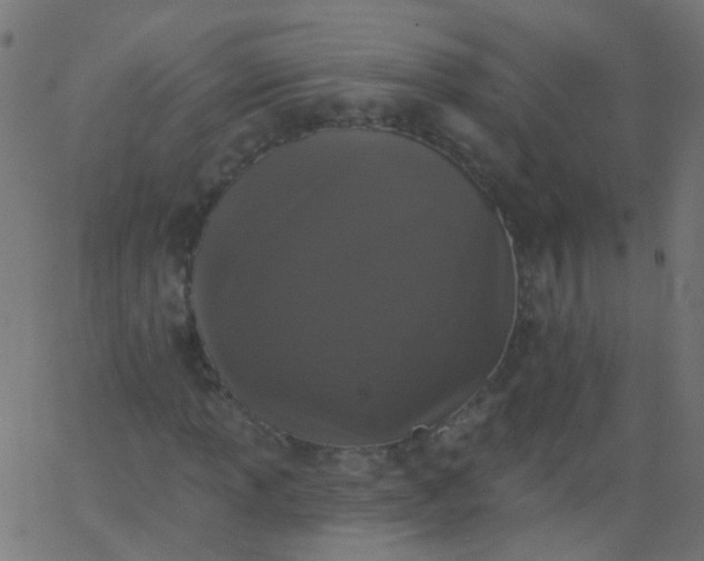 X0000067901013200604271847