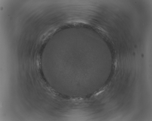 X0000067901014200604271847