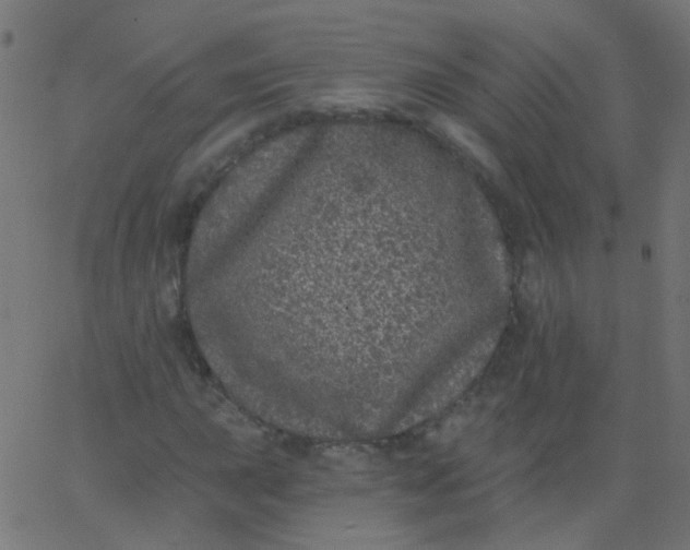 X0000067901015200604271847