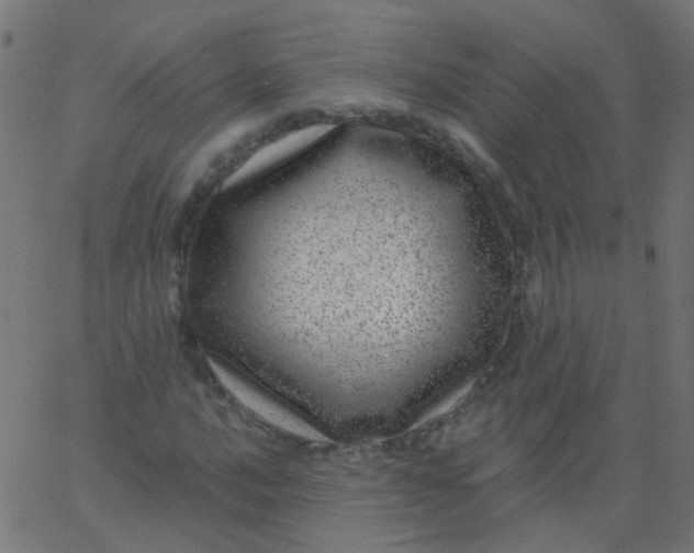 X0000067901016200604271847