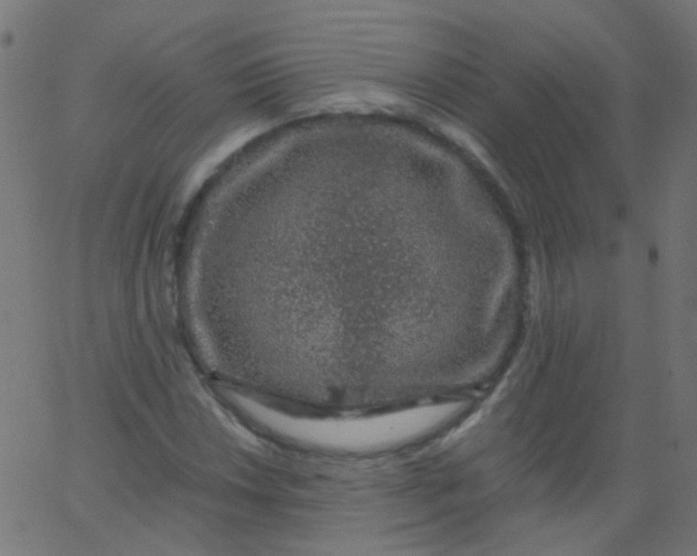 X0000067901018200604271847