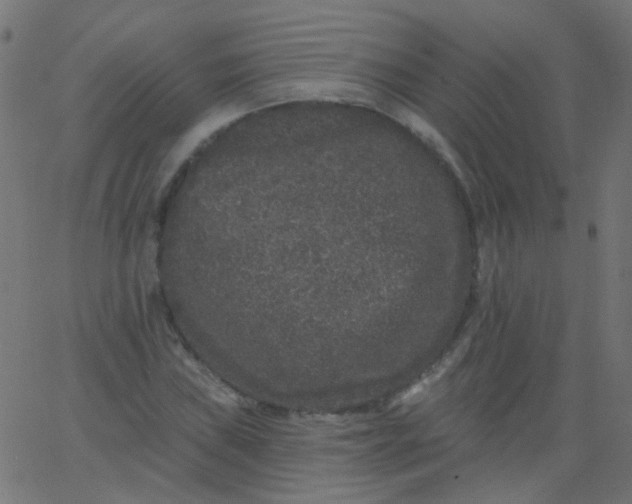 X0000067901019200604271847