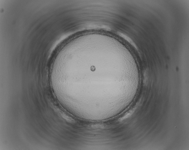 X0000067901021200604271847