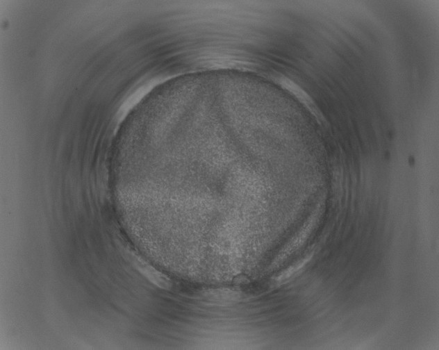 X0000067901023200604271847