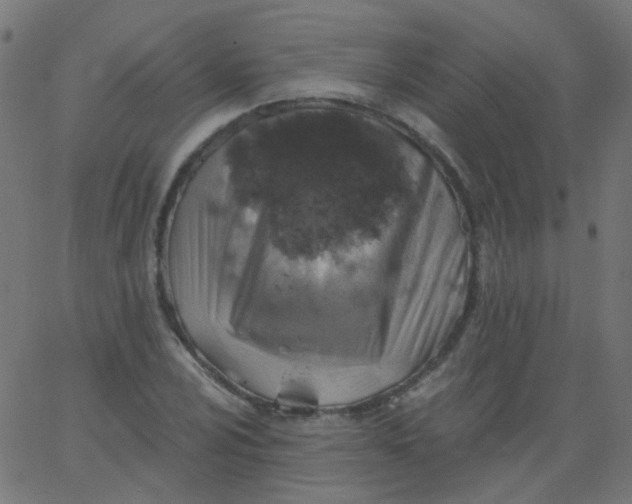 X0000067901024200604271847