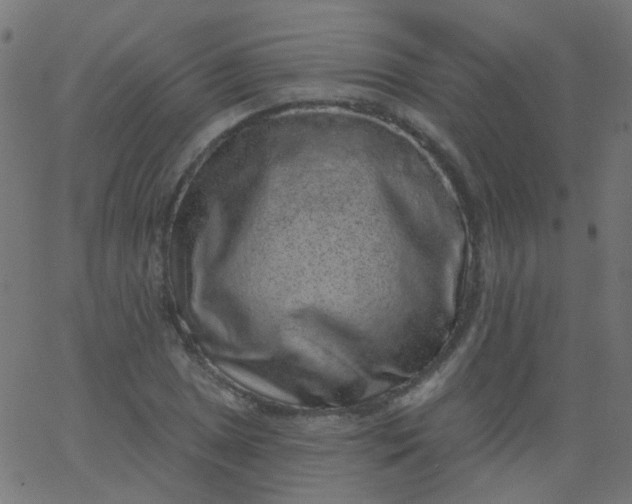 X0000067901025200604271847