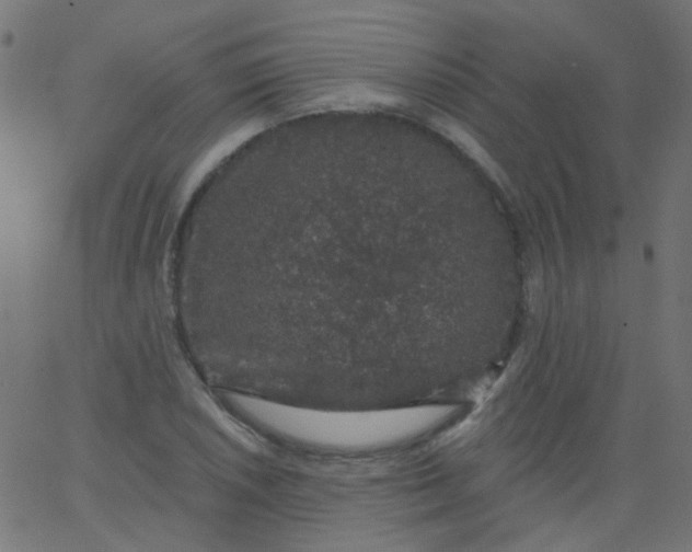 X0000067901026200604271847