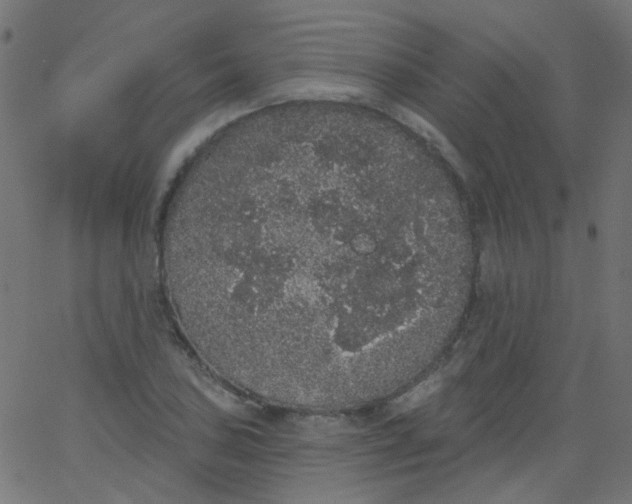 X0000067901027200604271847