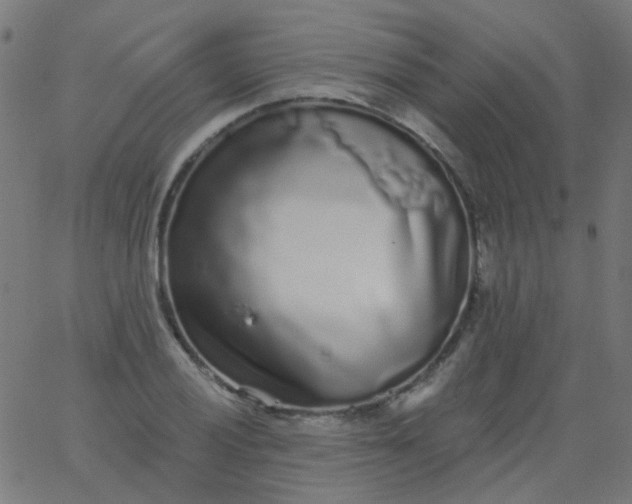 X0000067901028200604271847