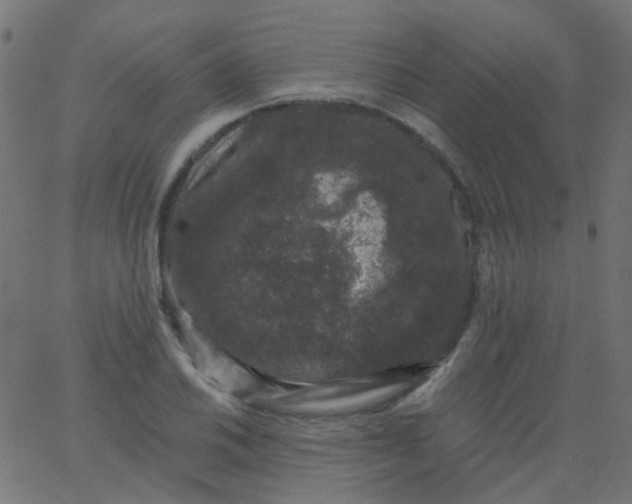 X0000067901030200604271847