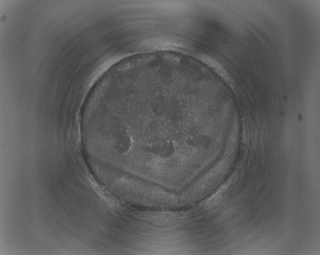 X0000067901031200604271847