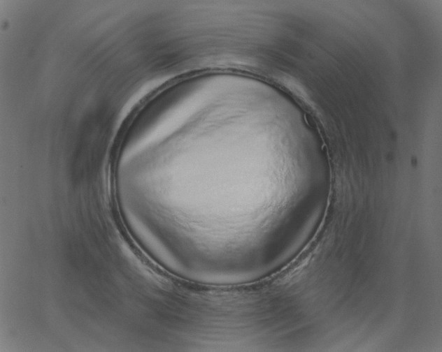 X0000067901032200604271847