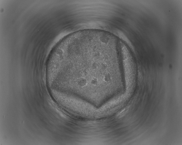 X0000067901035200604271847