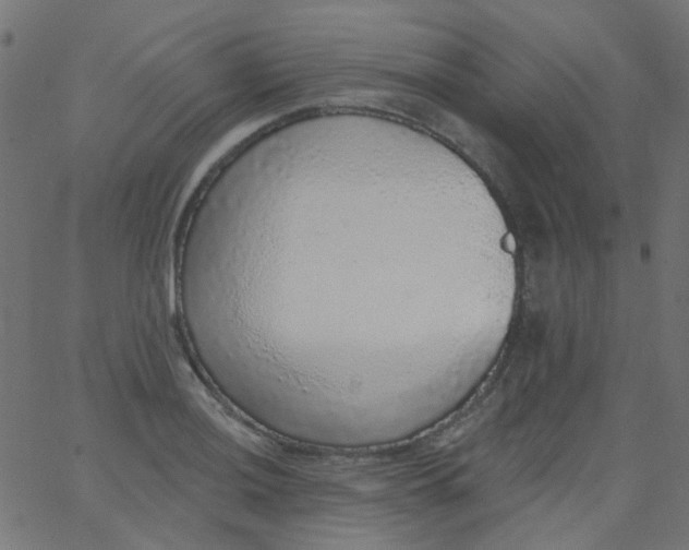 X0000067901036200604271847