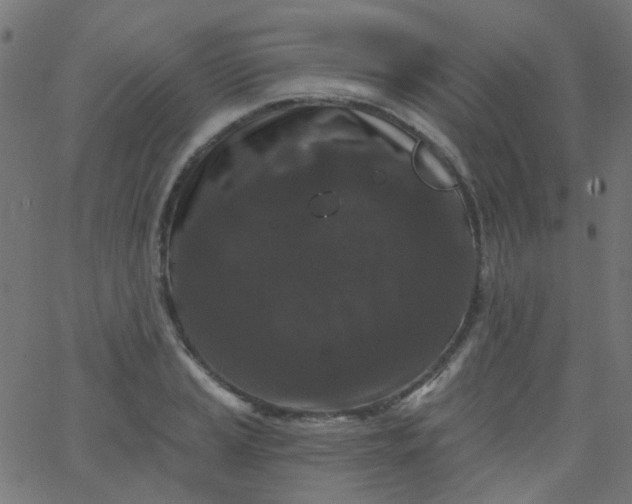 X0000067901037200604271847