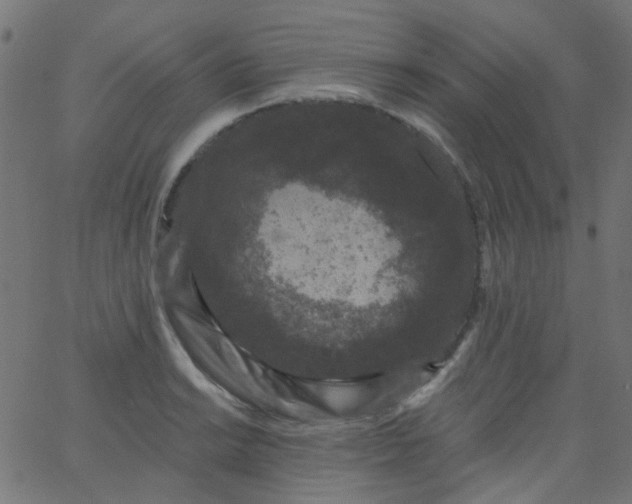 X0000067901038200604271847