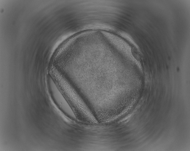 X0000067901040200604271847