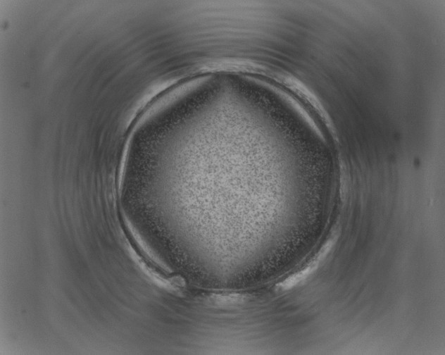 X0000067901041200604271847