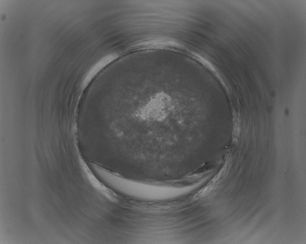 X0000067901042200604271847