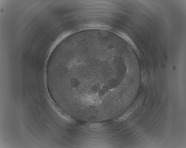 X0000067901043200604271847