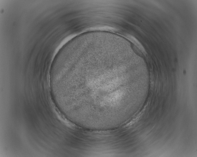 X0000067901044200604271847