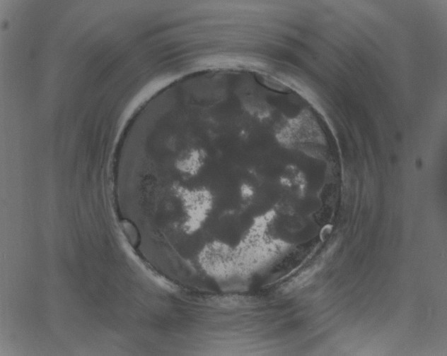 X0000067901045200604271847