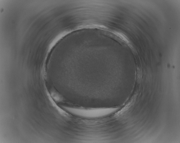 X0000067901046200604271847