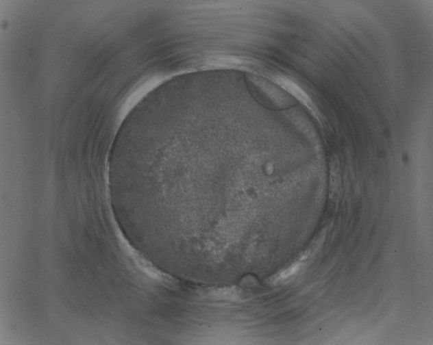 X0000067901047200604271847