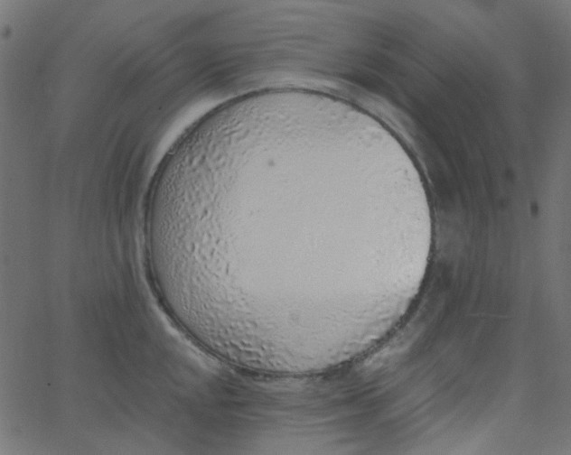 X0000067901048200604271847