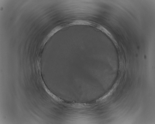 X0000067901049200604271847