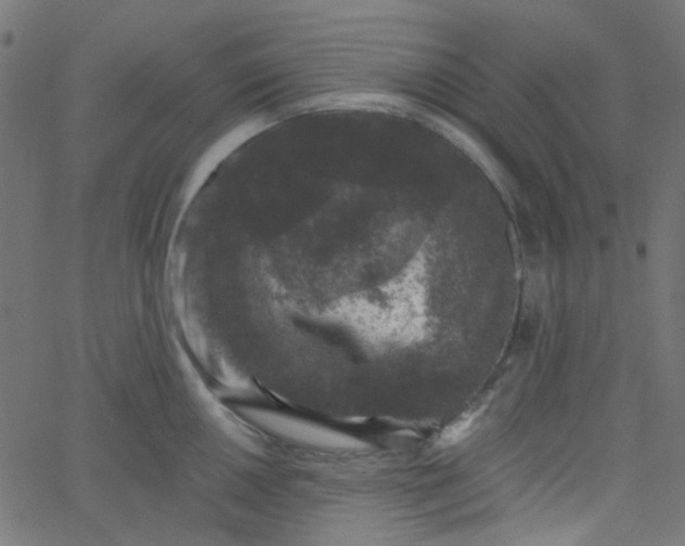 X0000067901050200604271847