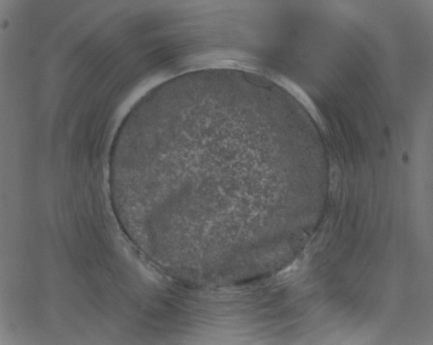 X0000067901051200604271847