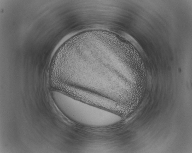 X0000067901052200604271847