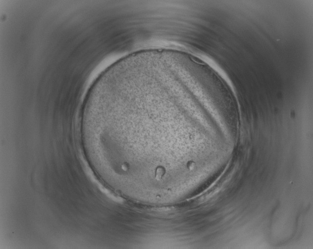 X0000067901053200604271847