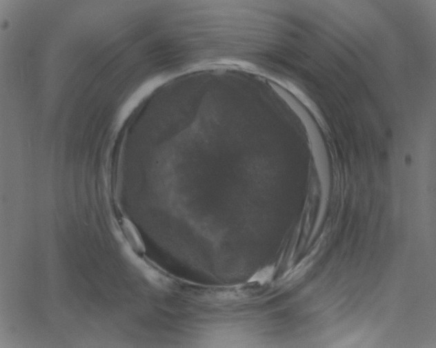 X0000067901054200604271847