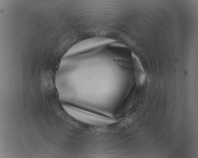 X0000067901058200604271847