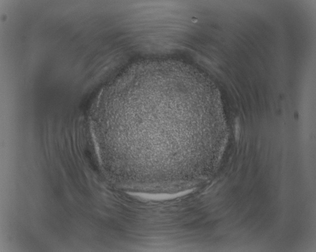 X0000067901059200604271847