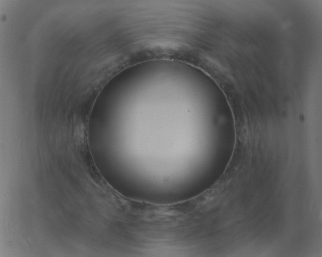 X0000067901061200604271847