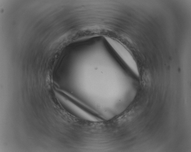 X0000067901062200604271847