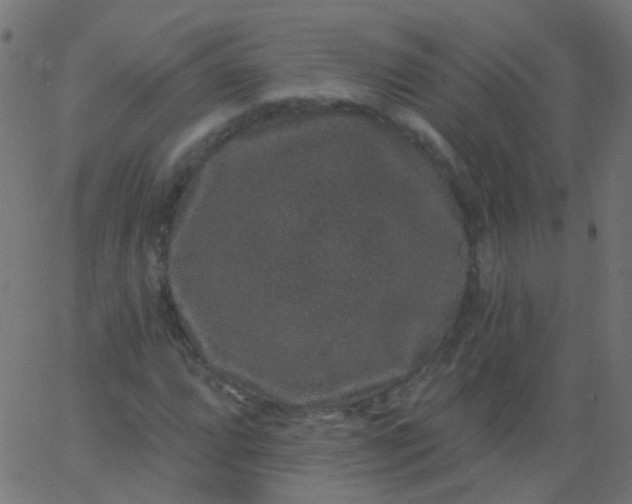 X0000067901064200604271847